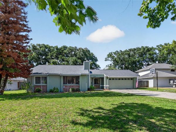 3303 FOXBORO COURT , MOUNT DORA, FL 32757