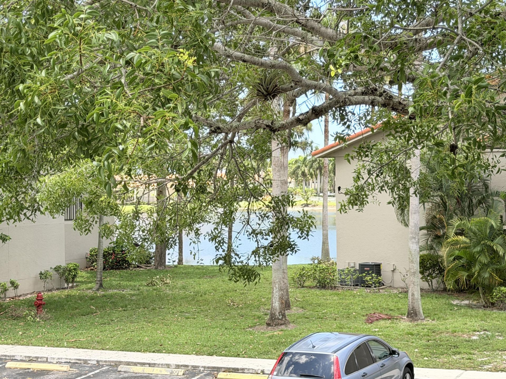 1541 Windorah Way, Unit E, West Palm Beach, FL 33411 Photo