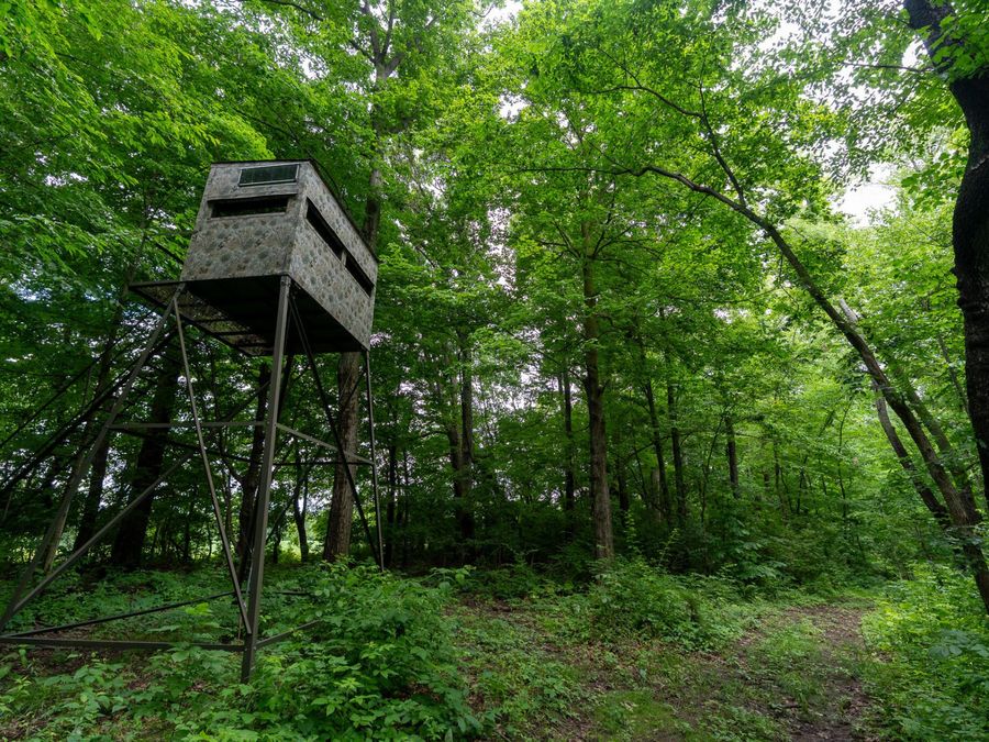 Property Image 49