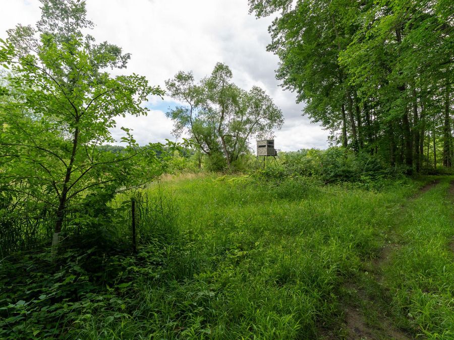 Property Image 54