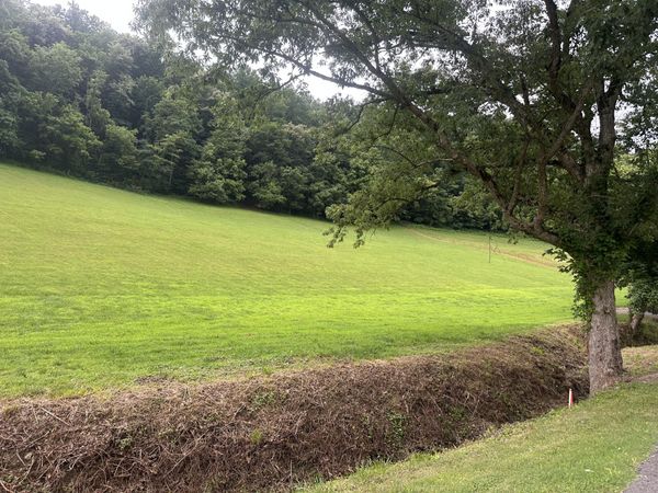 0 G Dias Ln , Dixon Springs, TN 37057