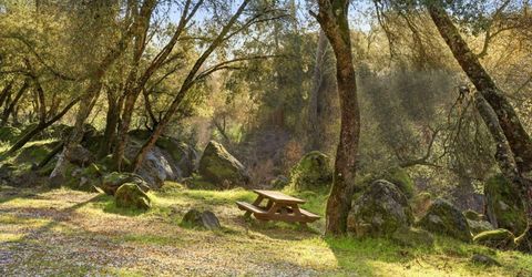 5045 Free Fox Ln, Placerville, CA 95667 Photo