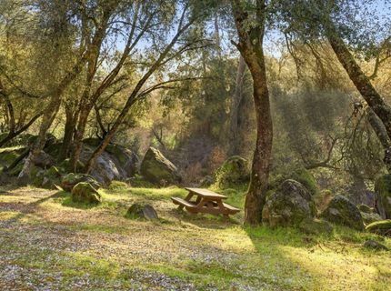 5045 Free Fox Ln, Placerville, CA 95667 Photo