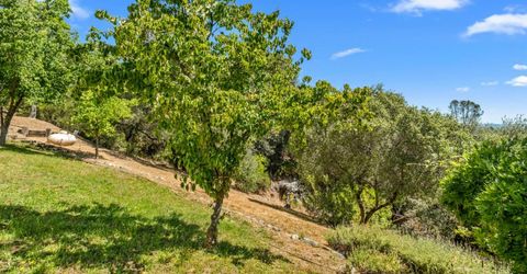 5045 Free Fox Ln, Placerville, CA 95667 Photo