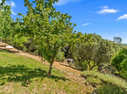 5045 Free Fox Ln, Placerville, CA 95667 Photo