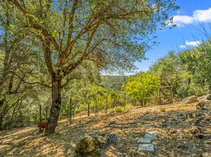 5045 Free Fox Ln, Placerville, CA 95667 Photo