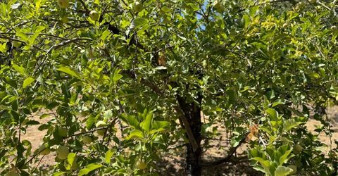 5045 Free Fox Ln, Placerville, CA 95667 Photo