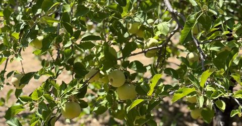 5045 Free Fox Ln, Placerville, CA 95667 Photo