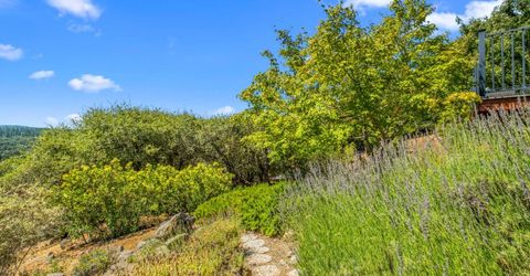 5045 Free Fox Ln, Placerville, CA 95667 Photo