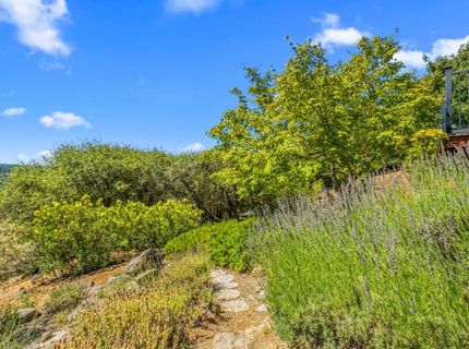 5045 Free Fox Ln, Placerville, CA 95667 Photo