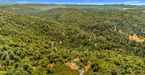5045 Free Fox Ln, Placerville, CA 95667 Photo