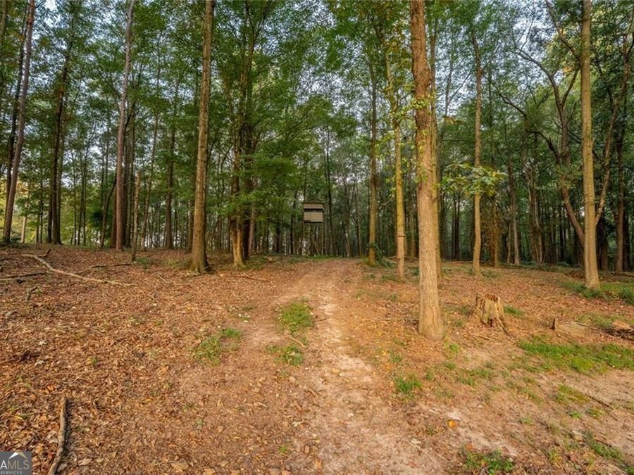Property Image 85
