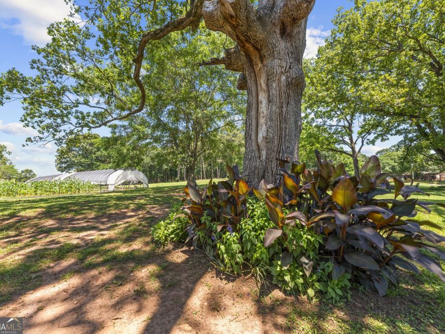 Property Image 95
