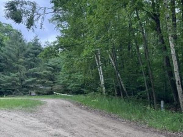 114 Bluff Drive, Leroy, MI 49655