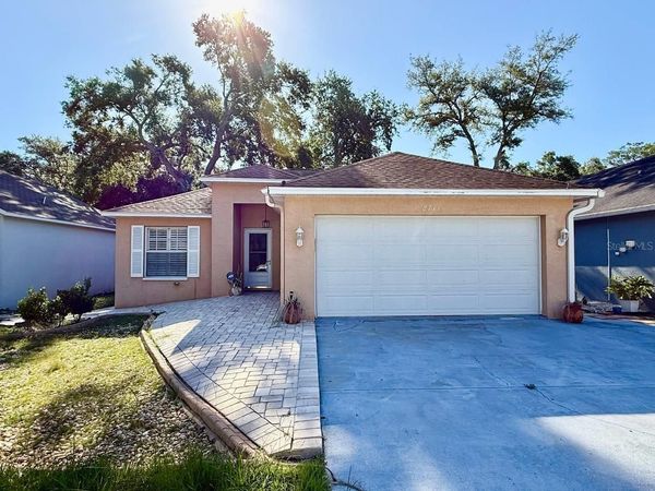 8711 BUSCH OAKS STREET , TAMPA, FL 33617