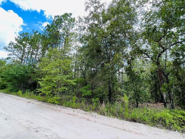 Lot 10 NW 116th Ave, Bell, FL 32619