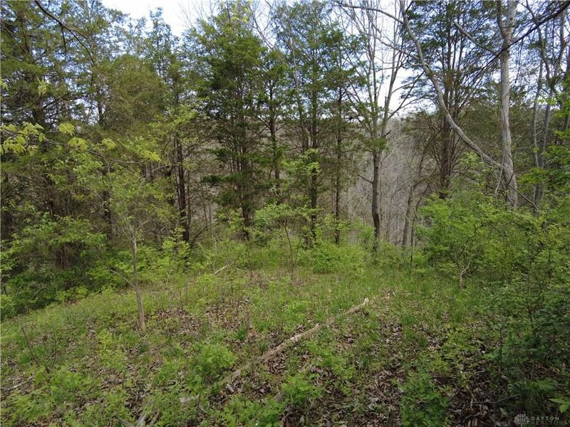 9951 Fishing Gut Road, Huntwp, OH 45144 Photo 23