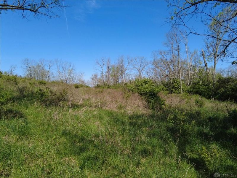 9951 Fishing Gut Road, Huntwp, OH 45144 Photo 28