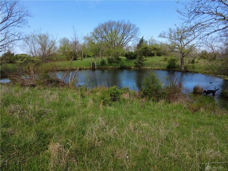 9951 Fishing Gut Road, Huntwp, OH 45144 Photo 30
