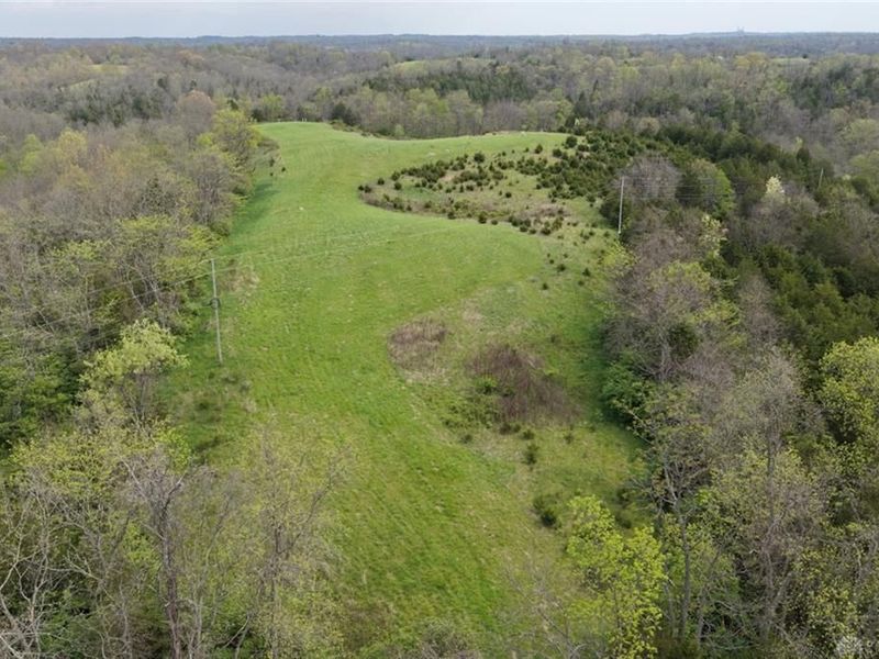 9951 Fishing Gut Road, Huntwp, OH 45144 Photo 31