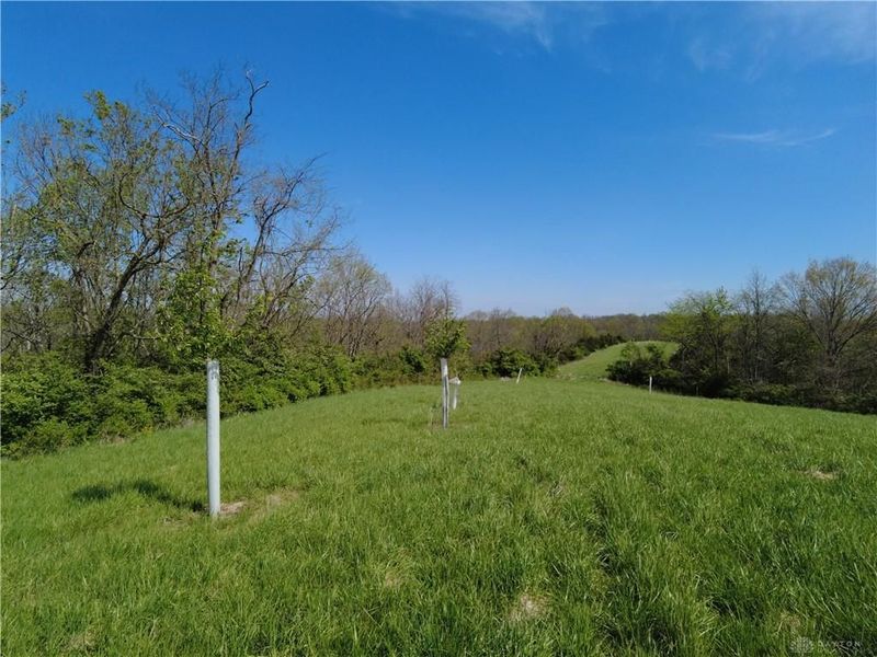 9951 Fishing Gut Road, Huntwp, OH 45144 Photo 7
