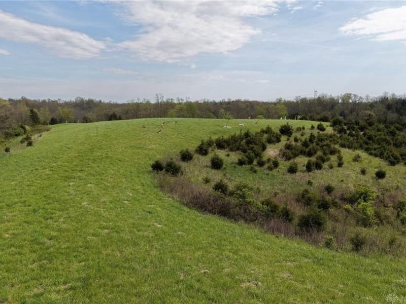 9951 Fishing Gut Road, Huntwp, OH 45144 Photo 8