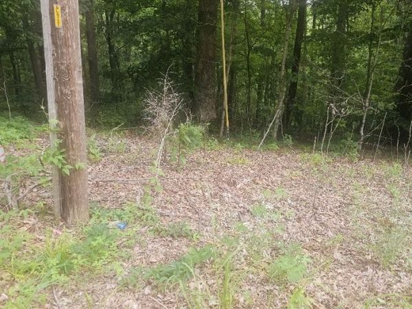 0 Scenic Drive , Unit 44, Dickson, TN 37055