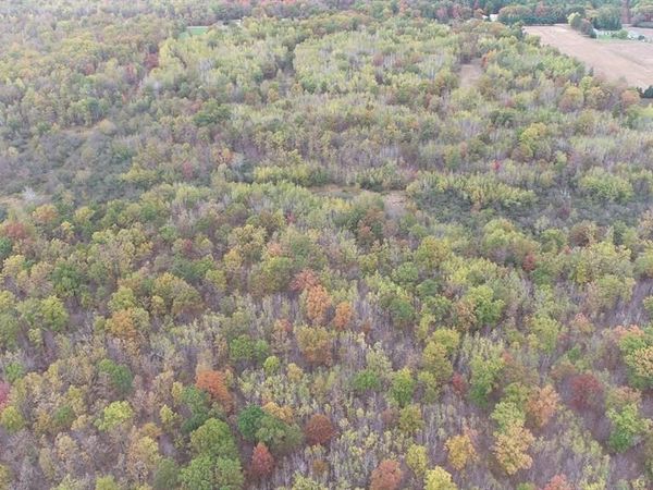 0 20th Avenue, Cadott, WI 54727