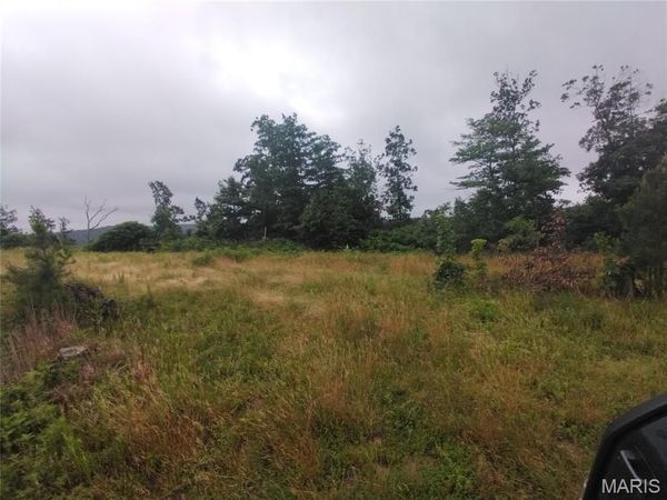 Tract 4 Off Highway O , Belleview, MO 63623