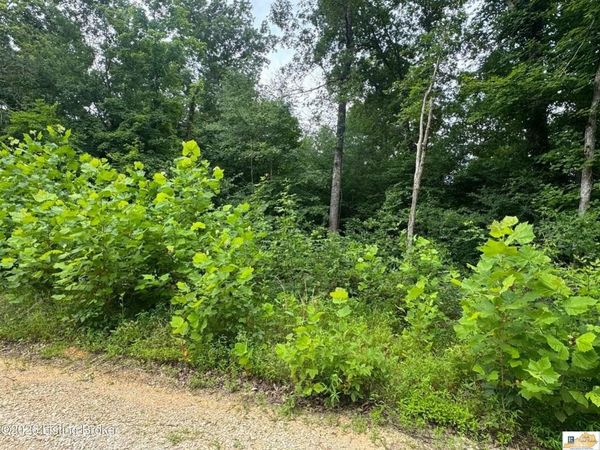 0 Ted Logsdon Road , Clarkson, KY 42726
