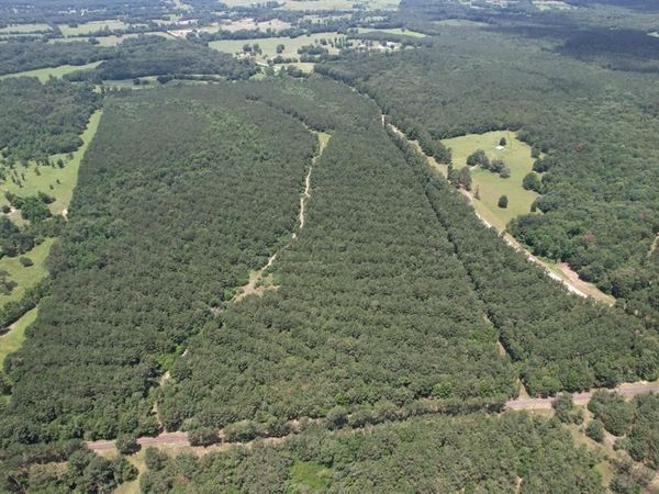 TBD FM 999 , Gary, TX 75643