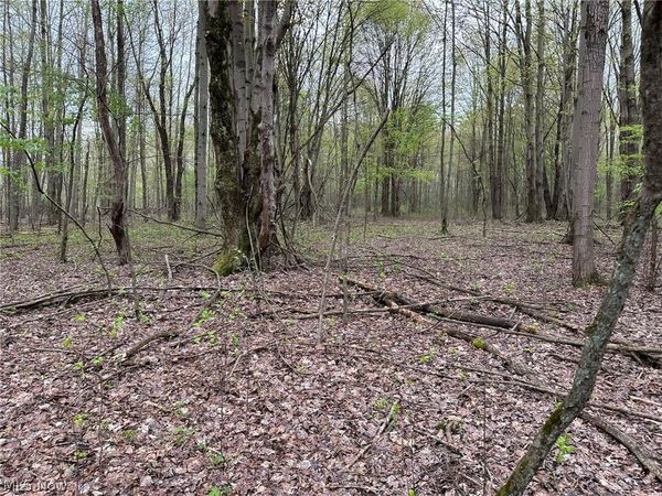 VL Stanhope-Kelloggsville Road , Kingsville, OH 44048