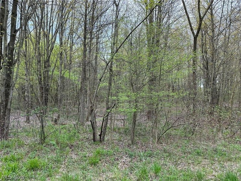 VL Stanhope-Kelloggsville Road, Kingsville, OH 44048 Photo 14