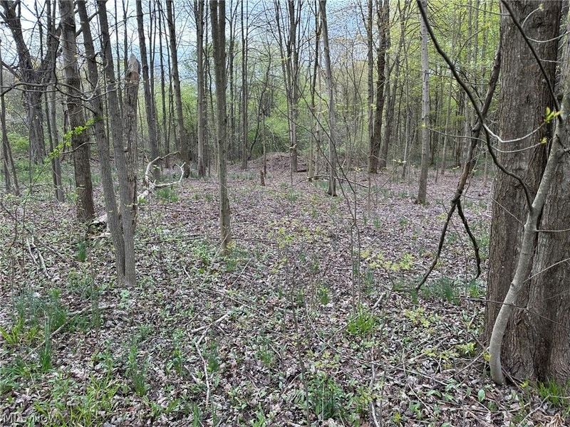 VL Stanhope-Kelloggsville Road, Kingsville, OH 44048 Photo 15