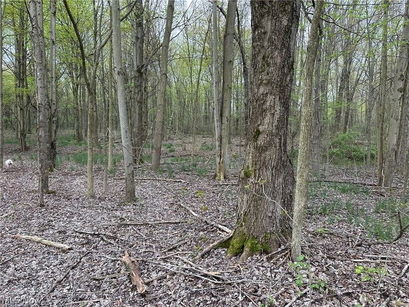 VL Stanhope-Kelloggsville Road, Kingsville, OH 44048 Photo 16