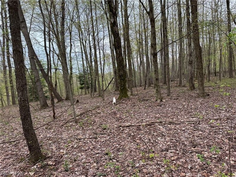 VL Stanhope-Kelloggsville Road, Kingsville, OH 44048 Photo 2