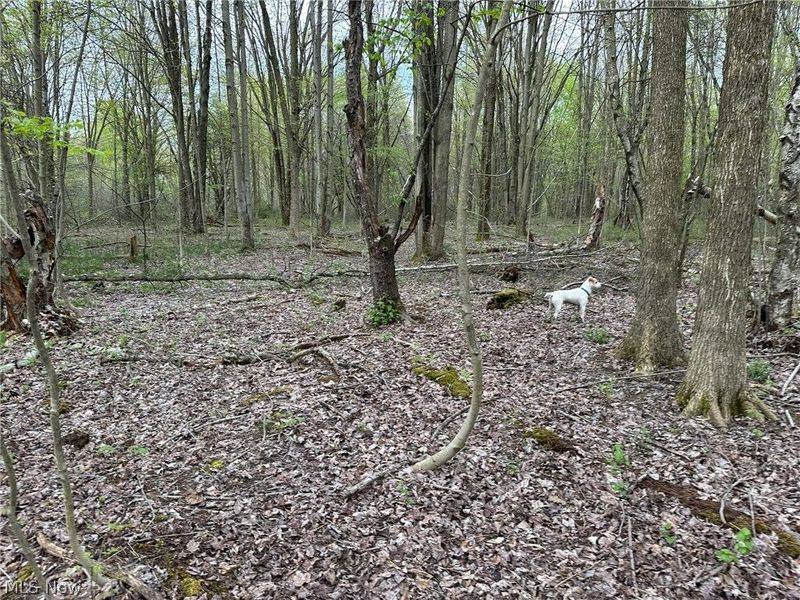 VL Stanhope-Kelloggsville Road, Kingsville, OH 44048 Photo 20