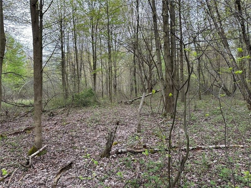 VL Stanhope-Kelloggsville Road, Kingsville, OH 44048 Photo 23