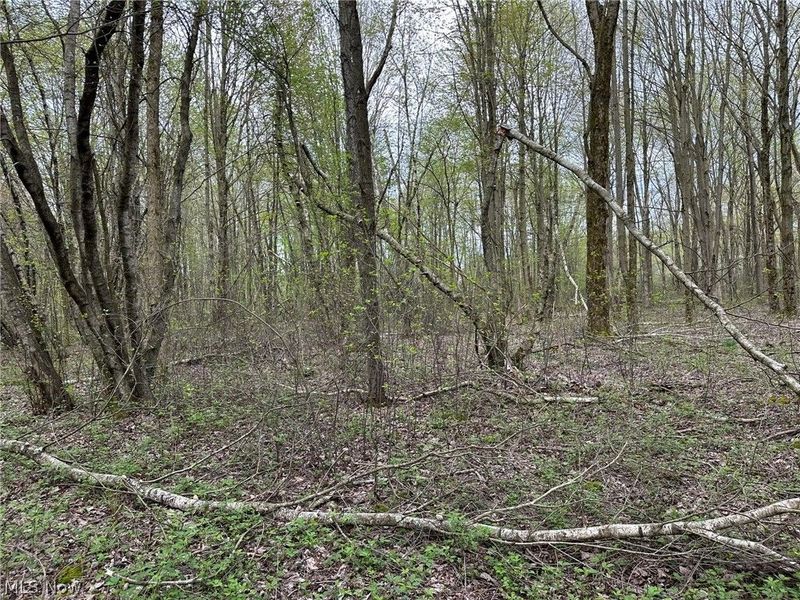 VL Stanhope-Kelloggsville Road, Kingsville, OH 44048 Photo 24