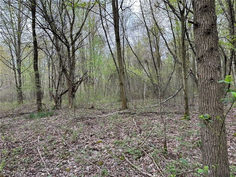 VL Stanhope-Kelloggsville Road, Kingsville, OH 44048 Photo 25