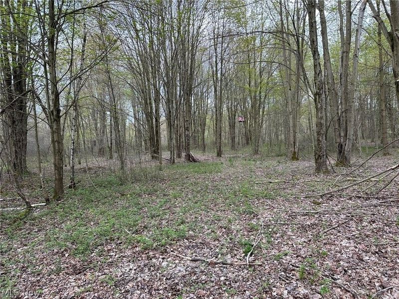 VL Stanhope-Kelloggsville Road, Kingsville, OH 44048 Photo 27