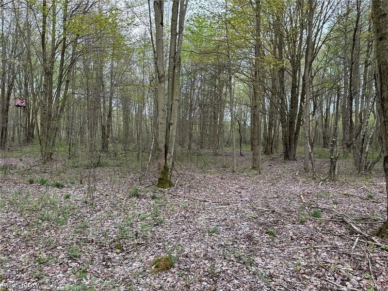 VL Stanhope-Kelloggsville Road, Kingsville, OH 44048 Photo 29