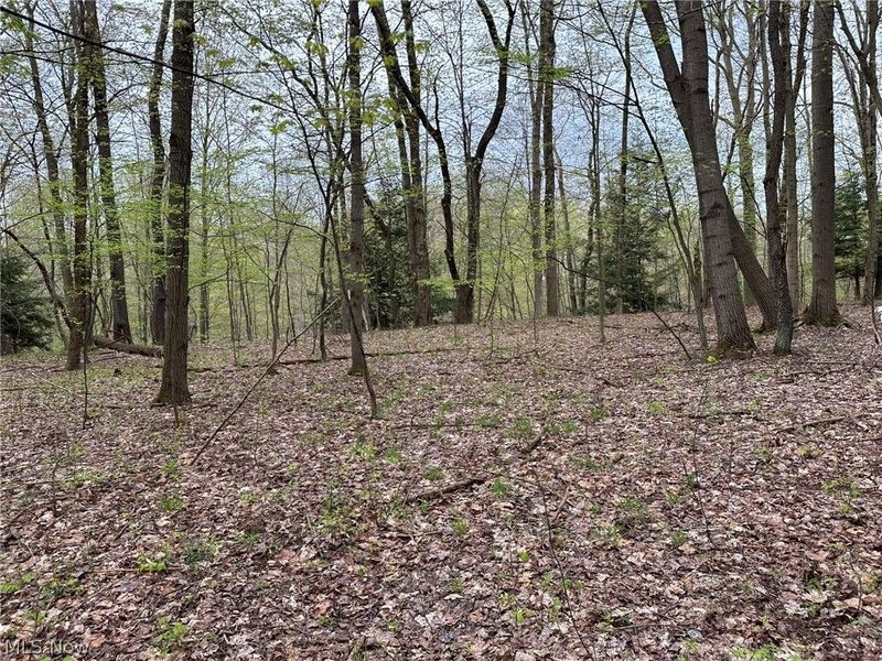 VL Stanhope-Kelloggsville Road, Kingsville, OH 44048 Photo 3