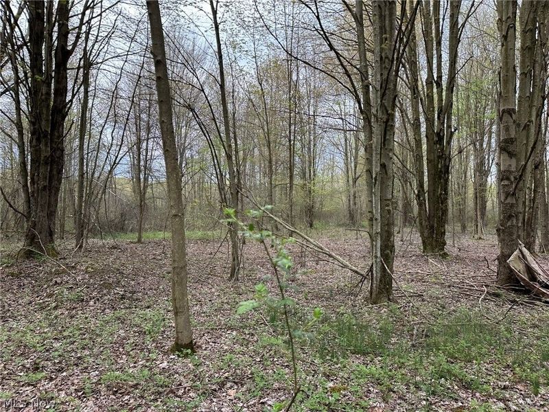 VL Stanhope-Kelloggsville Road, Kingsville, OH 44048 Photo 30