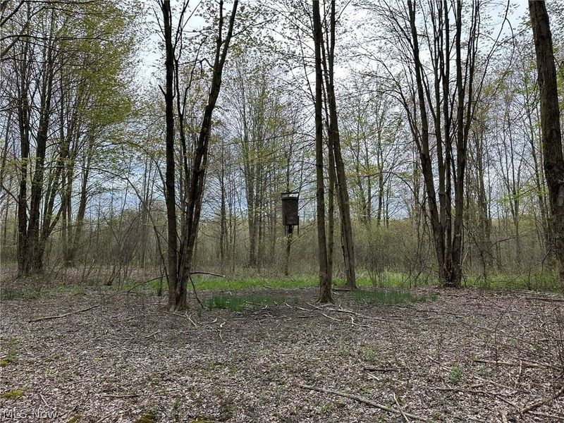 VL Stanhope-Kelloggsville Road, Kingsville, OH 44048 Photo 32