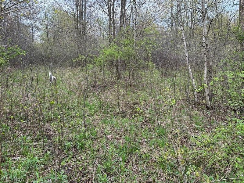 VL Stanhope-Kelloggsville Road, Kingsville, OH 44048 Photo 33