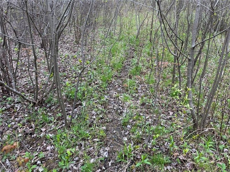 VL Stanhope-Kelloggsville Road, Kingsville, OH 44048 Photo 35