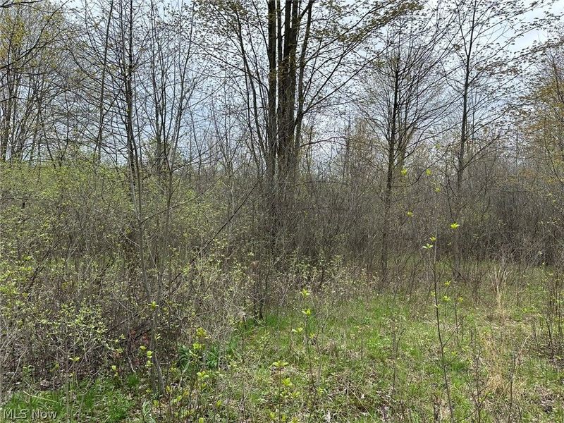 VL Stanhope-Kelloggsville Road, Kingsville, OH 44048 Photo 36