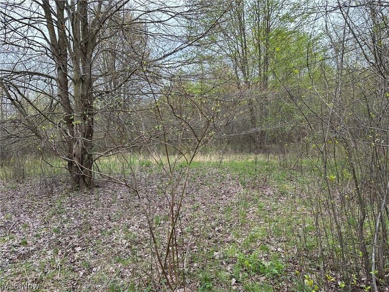VL Stanhope-Kelloggsville Road, Kingsville, OH 44048 Photo 37
