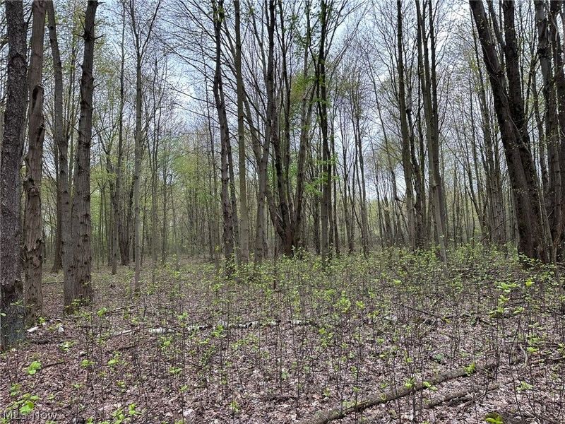 VL Stanhope-Kelloggsville Road, Kingsville, OH 44048 Photo 38